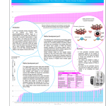 Poster Pcb’s met PDF